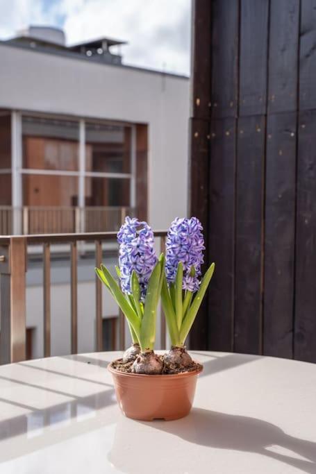 New Loft With Rooftop Terrace In The Old Town Riga Esterno foto